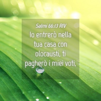 Picture 04 - Salmi 66:13 RIV - Io entrerò nella tua casa con olocausti, ti - Bible Verse Picture