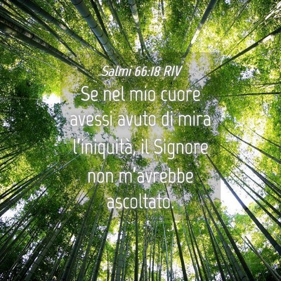 Picture 04 - Salmi 66:18 RIV - Se nel mio cuore avessi avuto di mira - Bible Verse Picture