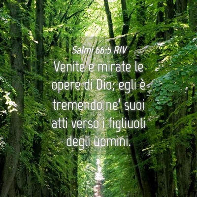 Picture 04 - Salmi 66:5 RIV - Venite e mirate le opere di Dio; egli è tremendo - Bible Verse Picture