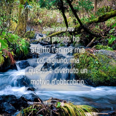 Picture 04 - Salmi 69:10 RIV - Io ho pianto, ho afflitto l’anima mia col - Bible Verse Picture