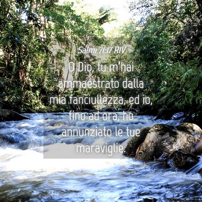 Picture 04 - Salmi 71:17 RIV - O Dio, tu m’hai ammaestrato dalla mia - Bible Verse Picture