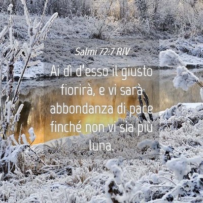 Picture 04 - Salmi 72:7 RIV - Ai dì d’esso il giusto fiorirà, e vi sarà - Bible Verse Picture