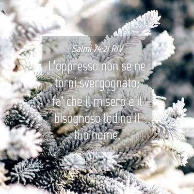 Picture 04 - Salmi 74:21 RIV - L’oppresso non se ne torni svergognato; fa’ - Bible Verse Picture