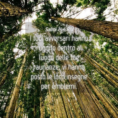 Picture 04 - Salmi 74:4 RIV - I tuoi avversari hanno ruggito dentro al luogo - Bible Verse Picture