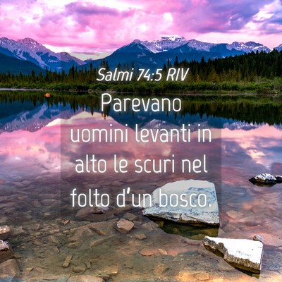 Picture 04 - Salmi 74:5 RIV - Parevano uomini levanti in alto le scuri nel - Bible Verse Picture