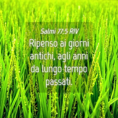 Picture 04 - Salmi 77:5 RIV - Ripenso ai giorni antichi, agli anni da lungo - Bible Verse Picture