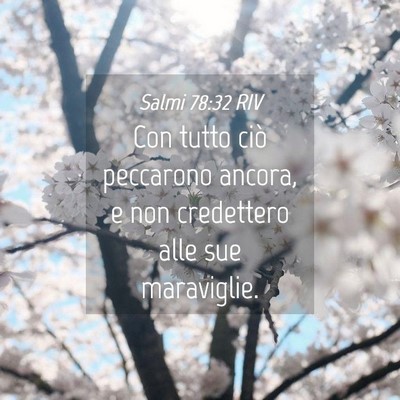 Picture 04 - Salmi 78:32 RIV - Con tutto ciò peccarono ancora, e non credettero - Bible Verse Picture