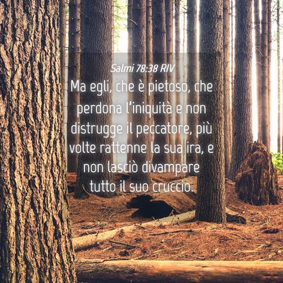Picture 04 - Salmi 78:38 RIV - Ma egli, che è pietoso, che perdona - Bible Verse Picture