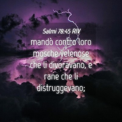 Picture 04 - Salmi 78:45 RIV - mandò contro loro mosche velenose che li - Bible Verse Picture