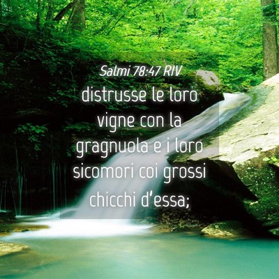 Picture 04 - Salmi 78:47 RIV - distrusse le loro vigne con la gragnuola e i loro - Bible Verse Picture