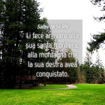 Picture 04 - Salmi 78:54 RIV - Li fece arrivare alla sua santa frontiera, alla - Bible Verse Picture