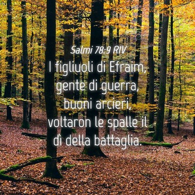 Picture 04 - Salmi 78:9 RIV - I figliuoli di Efraim, gente di guerra, buoni - Bible Verse Picture