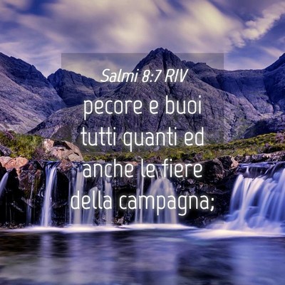 Picture 04 - Salmi 8:7 RIV - pecore e buoi tutti quanti ed anche le fiere - Bible Verse Picture