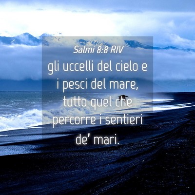 Picture 04 - Salmi 8:8 RIV - gli uccelli del cielo e i pesci del mare, tutto - Bible Verse Picture