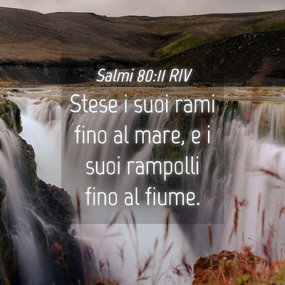 Picture 04 - Salmi 80:11 RIV - Stese i suoi rami fino al mare, e i suoi rampolli - Bible Verse Picture