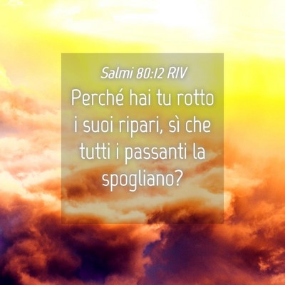 Picture 04 - Salmi 80:12 RIV - Perché hai tu rotto i suoi ripari, sì che tutti - Bible Verse Picture