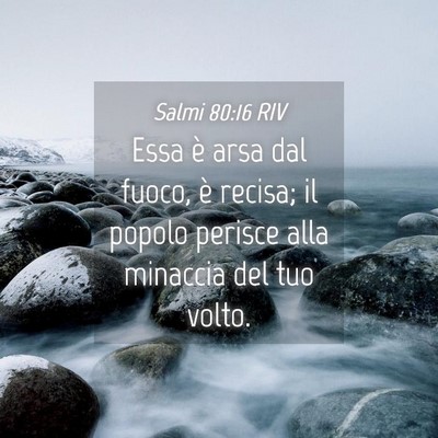 Picture 04 - Salmi 80:16 RIV - Essa è arsa dal fuoco, è recisa; il popolo - Bible Verse Picture