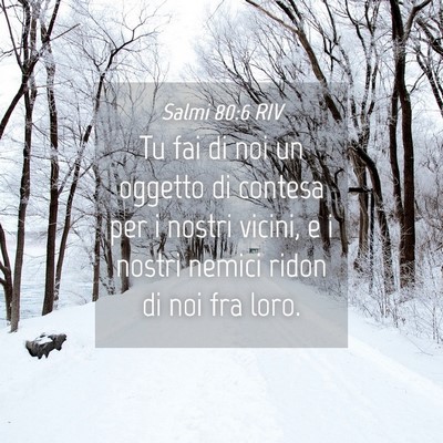 Picture 04 - Salmi 80:6 RIV - Tu fai di noi un oggetto di contesa per i nostri - Bible Verse Picture