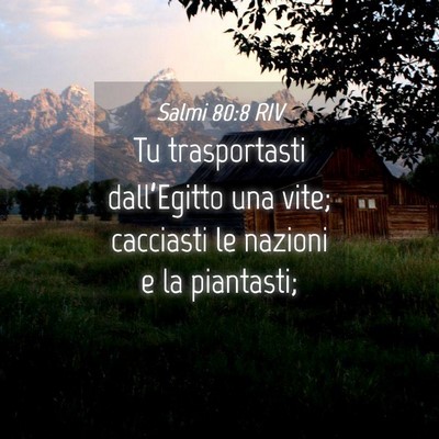Picture 04 - Salmi 80:8 RIV - Tu trasportasti dall’Egitto una vite; cacciasti - Bible Verse Picture