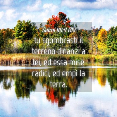 Picture 04 - Salmi 80:9 RIV - tu sgombrasti il terreno dinanzi a lei, ed essa - Bible Verse Picture