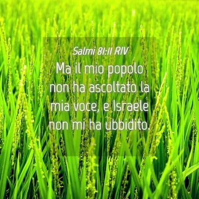 Picture 04 - Salmi 81:11 RIV - Ma il mio popolo non ha ascoltato la mia voce, e - Bible Verse Picture