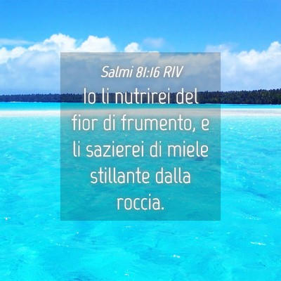 Picture 04 - Salmi 81:16 RIV - Io li nutrirei del fior di frumento, e li - Bible Verse Picture