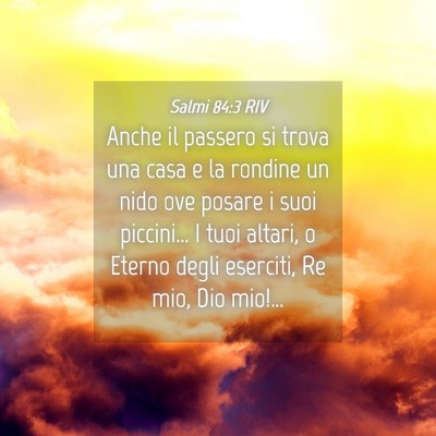 Picture 04 - Salmi 84:3 RIV - Anche il passero si trova una casa e la rondine - Bible Verse Picture