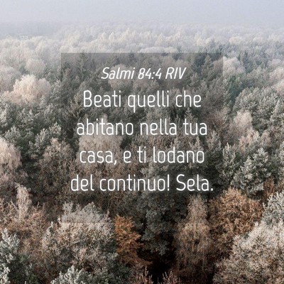 Picture 04 - Salmi 84:4 RIV - Beati quelli che abitano nella tua casa, e ti - Bible Verse Picture