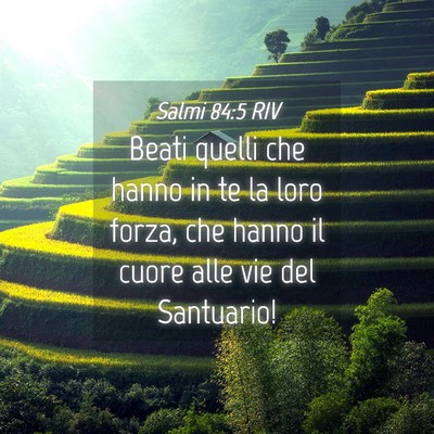 Picture 04 - Salmi 84:5 RIV - Beati quelli che hanno in te la loro forza, che - Bible Verse Picture