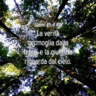Picture 04 - Salmi 85:11 RIV - La verità germoglia dalla terra, e la giustizia - Bible Verse Picture