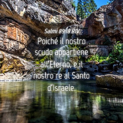 Picture 04 - Salmi 89:18 RIV - Poiché il nostro scudo appartiene all’Eterno, - Bible Verse Picture