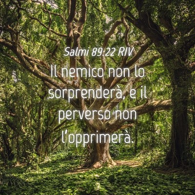 Picture 04 - Salmi 89:22 RIV - Il nemico non lo sorprenderà, e il perverso non - Bible Verse Picture