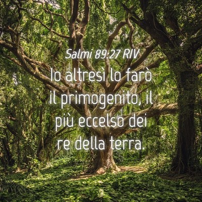 Picture 04 - Salmi 89:27 RIV - Io altresì lo farò il primogenito, il più - Bible Verse Picture