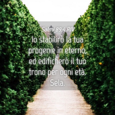 Picture 04 - Salmi 89:4 RIV - Io stabilirò la tua progenie in eterno, ed - Bible Verse Picture