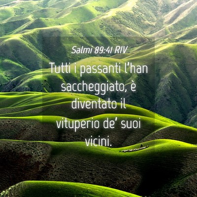 Picture 04 - Salmi 89:41 RIV - Tutti i passanti l’han saccheggiato, è - Bible Verse Picture