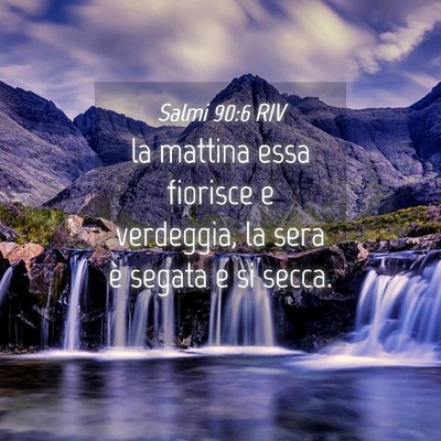 Picture 04 - Salmi 90:6 RIV - la mattina essa fiorisce e verdeggia, la sera è - Bible Verse Picture