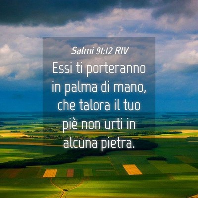 Picture 04 - Salmi 91:12 RIV - Essi ti porteranno in palma di mano, che talora - Bible Verse Picture