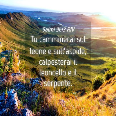 Picture 04 - Salmi 91:13 RIV - Tu camminerai sul leone e sull’aspide, - Bible Verse Picture