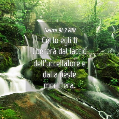 Picture 04 - Salmi 91:3 RIV - Certo egli ti libererà dal laccio - Bible Verse Picture
