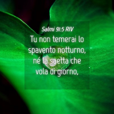 Picture 04 - Salmi 91:5 RIV - Tu non temerai lo spavento notturno, né la - Bible Verse Picture