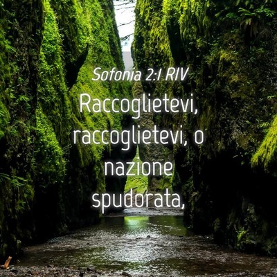 Picture 04 - Sofonia 2:1 RIV - Raccoglietevi, raccoglietevi, o nazione - Bible Verse Picture