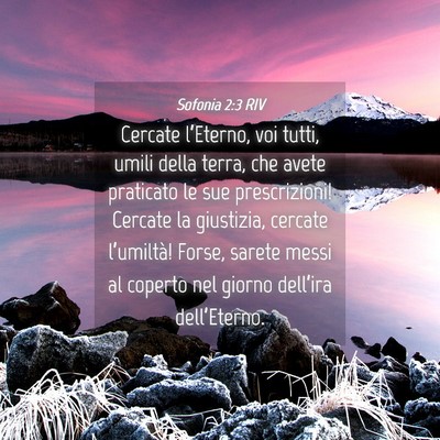 Picture 04 - Sofonia 2:3 RIV - Cercate l’Eterno, voi tutti, umili della terra, - Bible Verse Picture