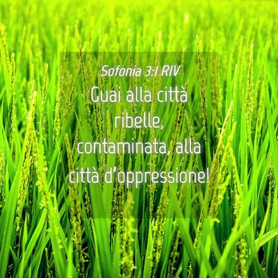 Picture 04 - Sofonia 3:1 RIV - Guai alla città ribelle, contaminata, alla - Bible Verse Picture