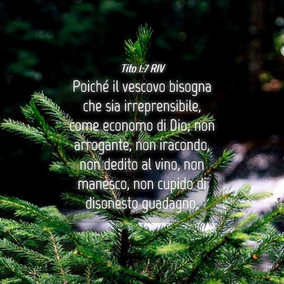 Picture 04 - Tito 1:7 RIV - Poiché il vescovo bisogna che sia - Bible Verse Picture