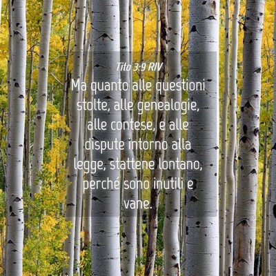 Picture 04 - Tito 3:9 RIV - Ma quanto alle questioni stolte, alle genealogie, - Bible Verse Picture