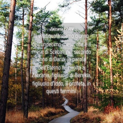 Picture 04 - Zaccaria 1:7 RIV - Il ventiquattresimo giorno dell’undecimo mese, - Bible Verse Picture