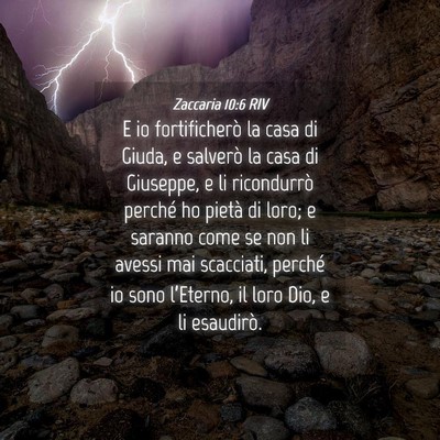 Picture 04 - Zaccaria 10:6 RIV - E io fortificherò la casa di Giuda, e salverò - Bible Verse Picture