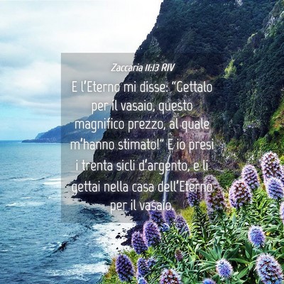 Picture 04 - Zaccaria 11:13 RIV - E l’Eterno mi disse: “Gettalo per il vasaio, - Bible Verse Picture