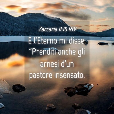 Picture 04 - Zaccaria 11:15 RIV - E l’Eterno mi disse: “Prenditi anche gli - Bible Verse Picture