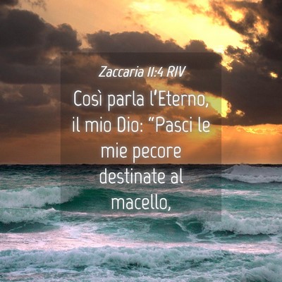 Picture 04 - Zaccaria 11:4 RIV - Così parla l’Eterno, il mio Dio: “Pasci le - Bible Verse Picture